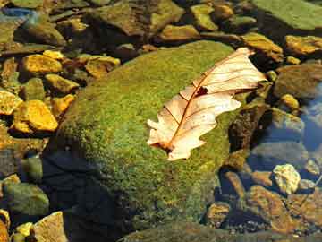 澳門一碼一碼100準(zhǔn)確，澳門一碼精準(zhǔn)預(yù)測(cè)