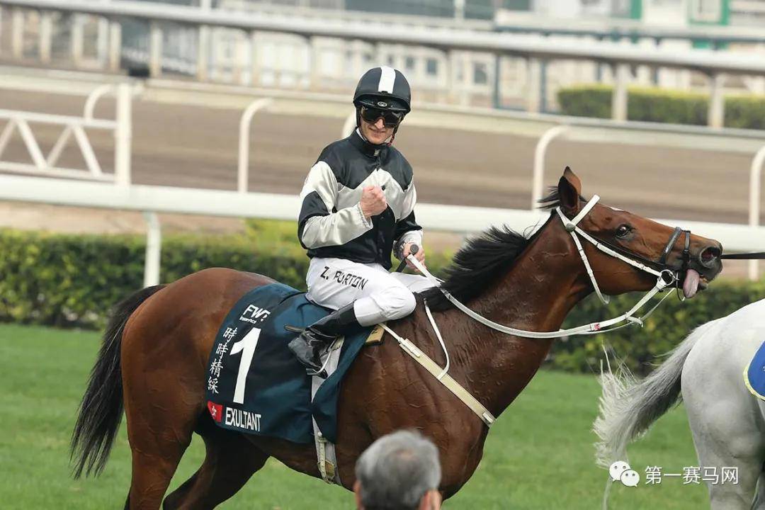香港馬會(huì)，香港馬會(huì)賽馬活動(dòng)盛況