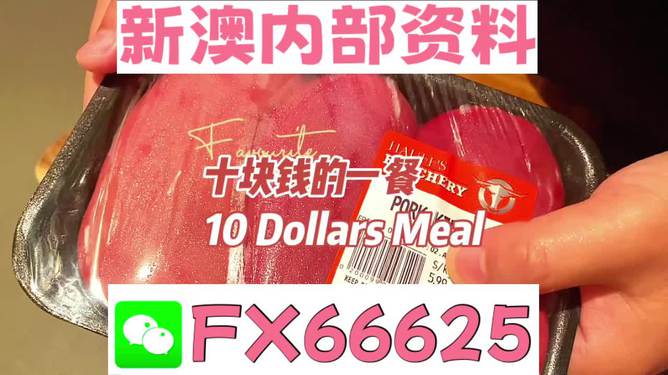 2025新奧精準正版資料，新奧精準正版資料 2025年展望