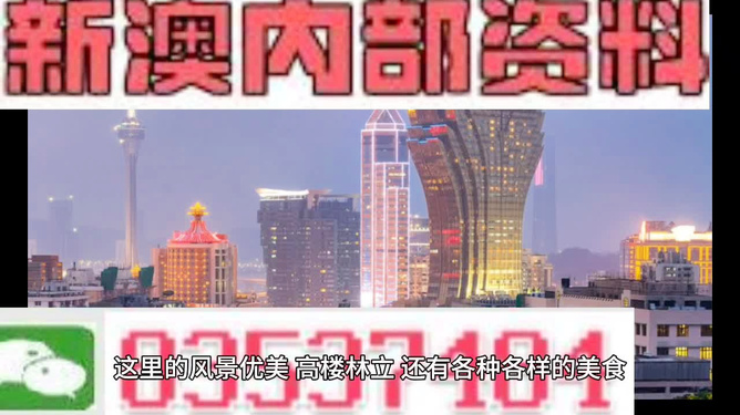 新澳新澳門正版資料，探索與解讀，新澳新澳門正版資料的探索與解讀