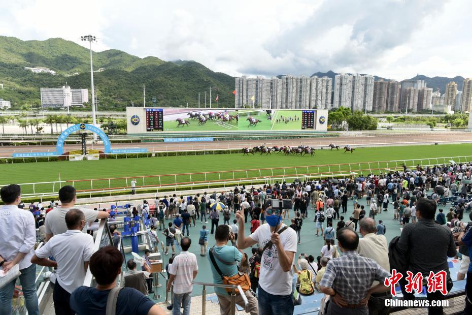 揭秘香港今晚特馬開什么，熱門語言解讀彩票奧秘，香港今晚特馬揭秘，彩票奧秘與熱門語言解讀