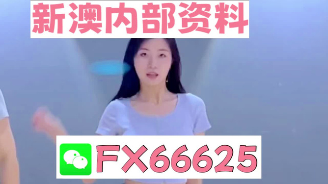 新澳門精準(zhǔn)資料大全管家婆料，澳門精準(zhǔn)資料大全，管家婆料全解析
