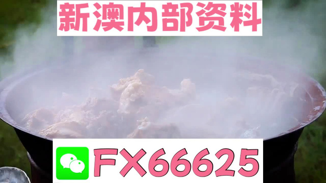 新澳全年免費(fèi)資料大全，一網(wǎng)打盡各類資源，新澳全年免費(fèi)資料大全，各類資源一網(wǎng)打盡