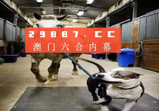 澳門(mén)一肖一碼一必中，同舟共濟(jì)向前行，澳門(mén)一肖一碼必中，同舟共濟(jì)向前行