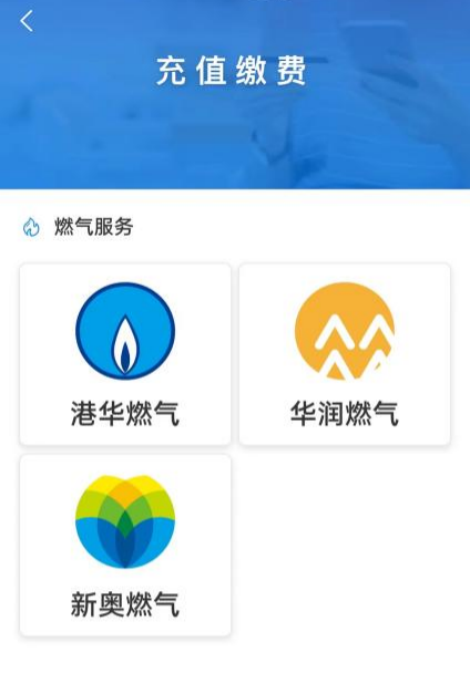 新奧門資料大全正版資料六肖——深度解析與探索，新奧門正版資料六肖深度探索與解析