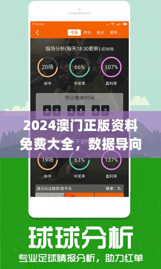 2025澳門免費(fèi)資料,正版資料，澳門正版資料2025年免費(fèi)版揭秘