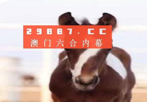 新澳門(mén)一碼一碼100準(zhǔn)確，澳門(mén)彩票一碼精準(zhǔn)預(yù)測(cè)，揭秘準(zhǔn)確率背后的秘密