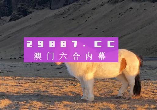 揭秘澳門今晚開碼料，展望2024年的新機遇與挑戰(zhàn)，澳門未來展望，揭秘今晚開碼料與迎接新機遇的挑戰(zhàn)