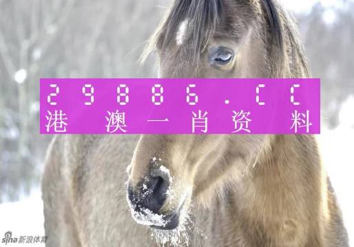 澳門一肖一碼百分百精準(zhǔn)預(yù)測——揭秘彩票背后的秘密，澳門彩票預(yù)測揭秘，一肖一碼百分百精準(zhǔn)背后的秘密