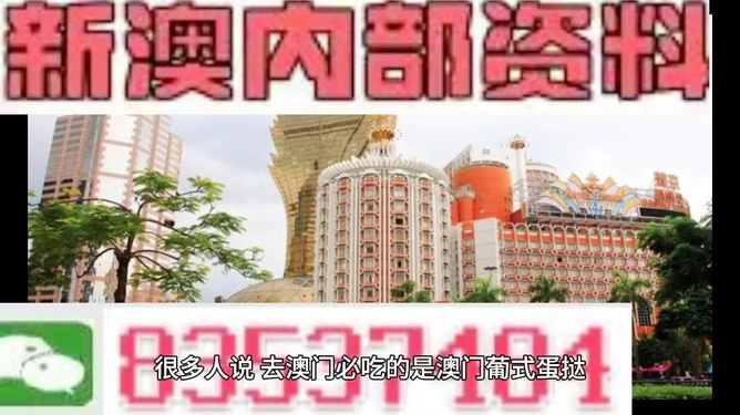 新澳門特免費大全，探索與揭秘，新澳門特免費大全，探索之旅與揭秘之旅