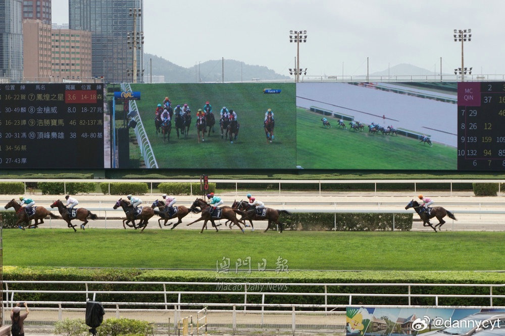 2025新澳門今晚開特馬直播，澳門特馬直播預(yù)告，揭秘今晚開獎懸念