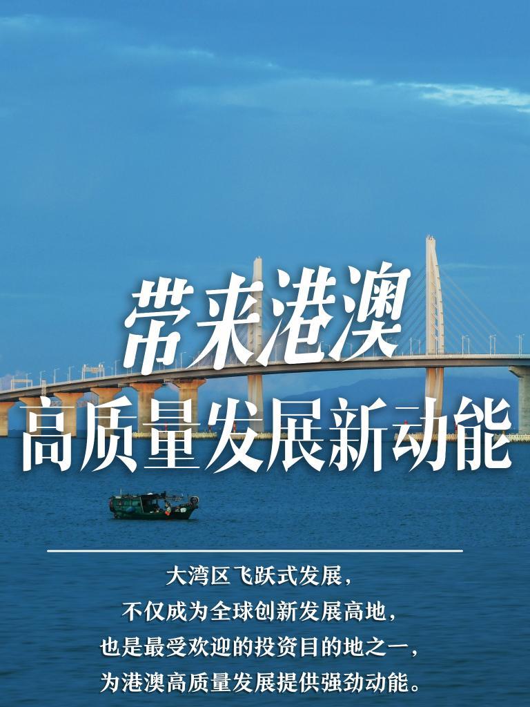 2025新澳門精準(zhǔn)免費大全，澳門最新精準(zhǔn)免費資料大全（2025版）