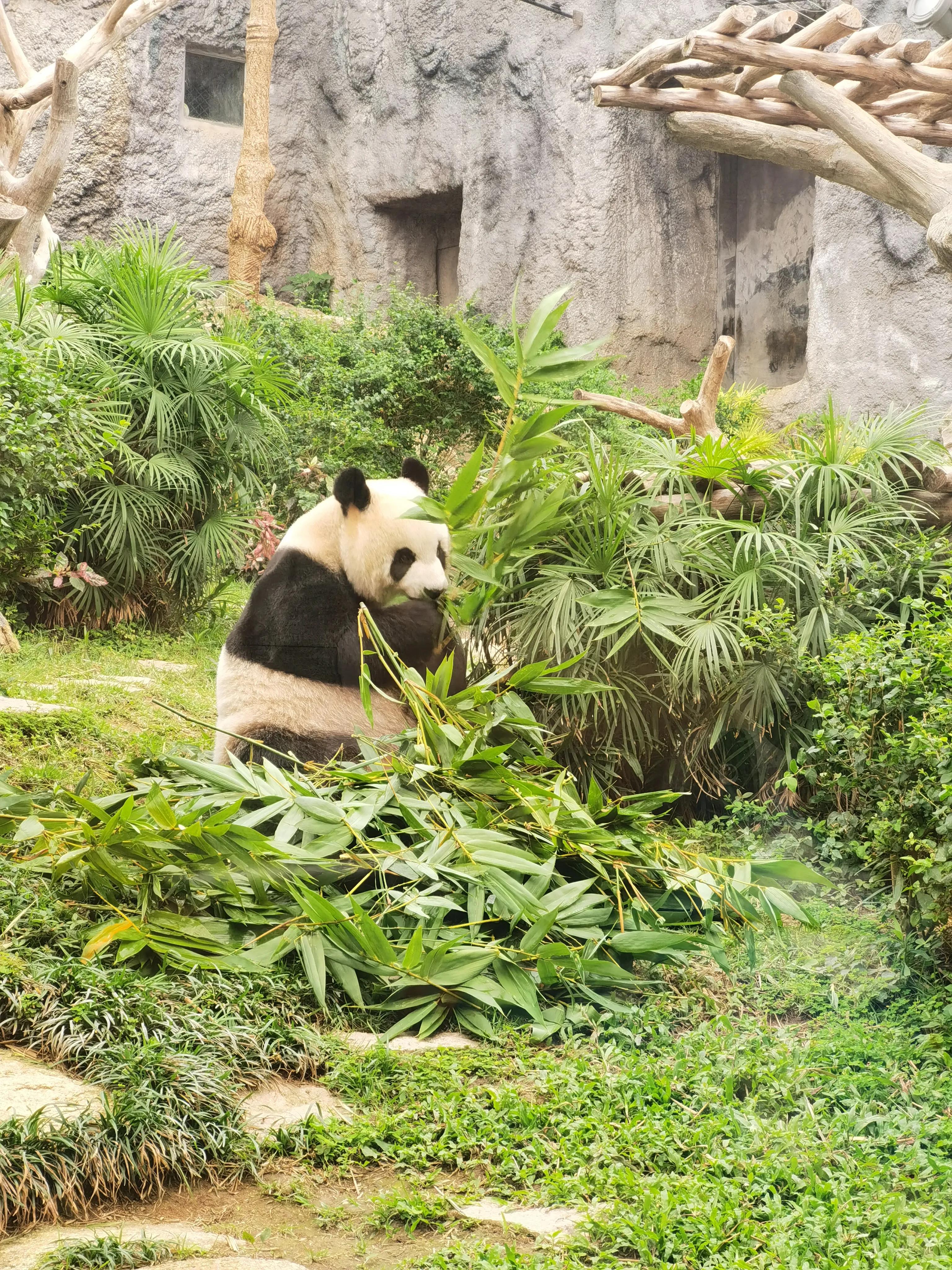 澳門最準(zhǔn)最快的免費(fèi)的，澳門最準(zhǔn)最快的免費(fèi)預(yù)測(cè)/資料