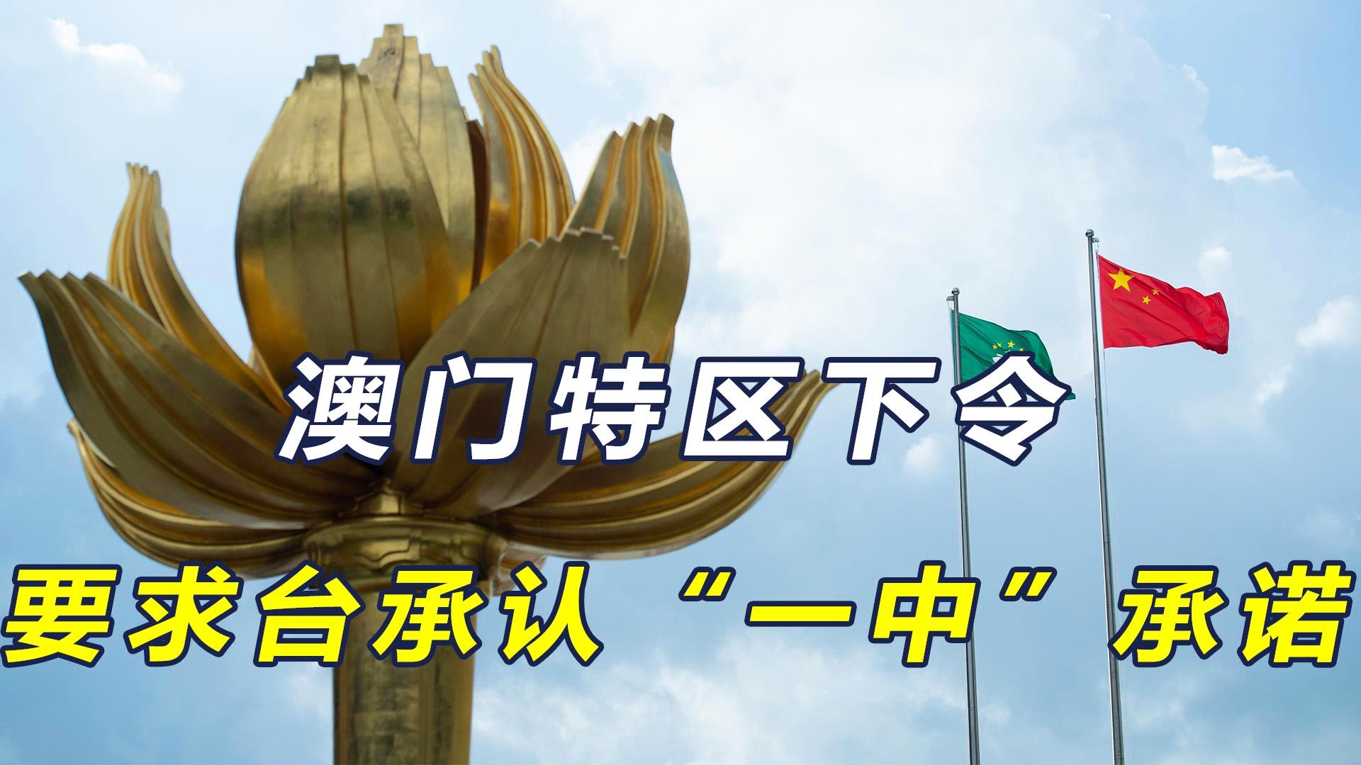 澳門一碼一肖一待一中四不像，深度解讀與探索，澳門一碼一肖一待一中四不像，深度解讀與探索揭秘