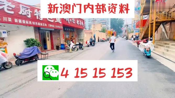 2025年澳門天天開好彩，澳門未來展望，2025年天天好彩