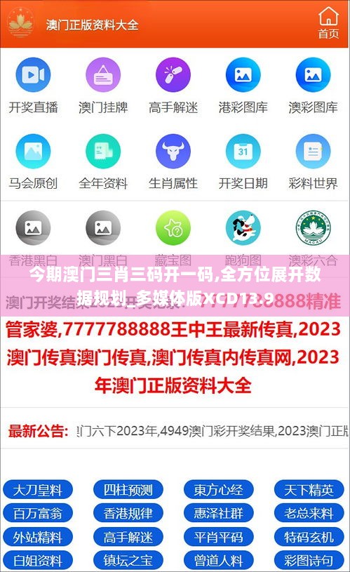 澳門kl33一肖的神秘面紗，澳門kl33一肖的神秘面紗揭曉