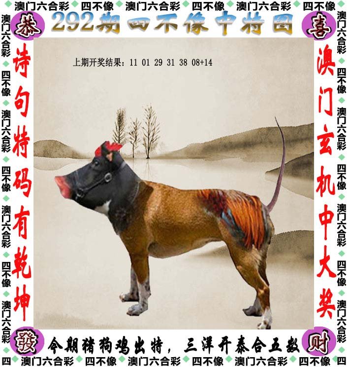 澳門今晚開正版四不像，揭秘博彩背后的故事，澳門博彩揭秘，正版四不像背后的故事