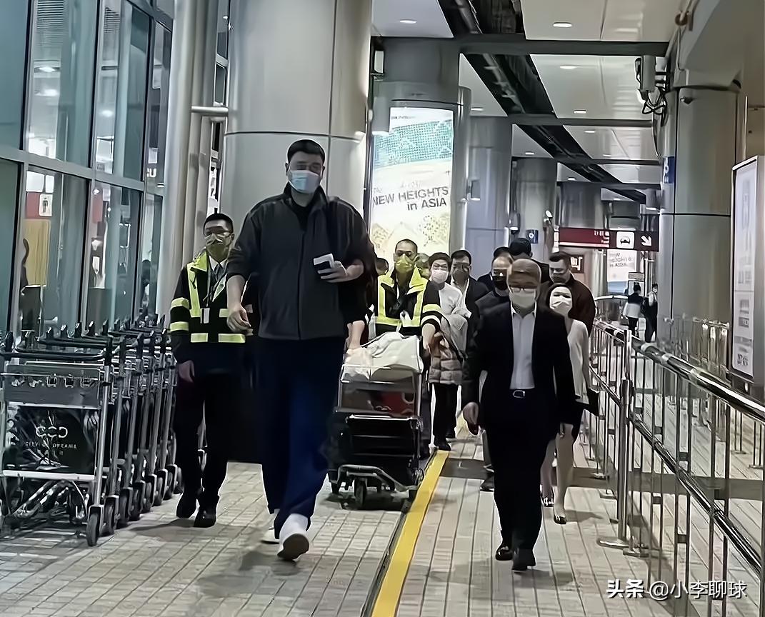 今晚澳門開一肖四不像圖片，揭秘背后的神秘面紗，揭秘澳門今晚開一肖四不像圖片背后的神秘面紗