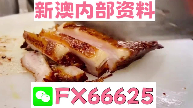 新奧長期免費資料大全，一網打盡所有你需要的知識，新奧長期免費資料大全，一站式獲取所有所需知識