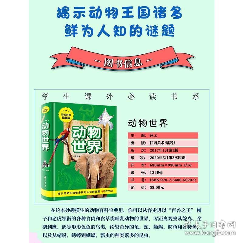 澳門正版資料大全資料生肖卡的奇幻世界，澳門正版資料大全，生肖卡的奇幻樂園