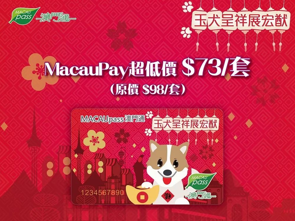 澳門正版資料大全資料生肖卡，澳門正版資料大全，生肖卡全收錄