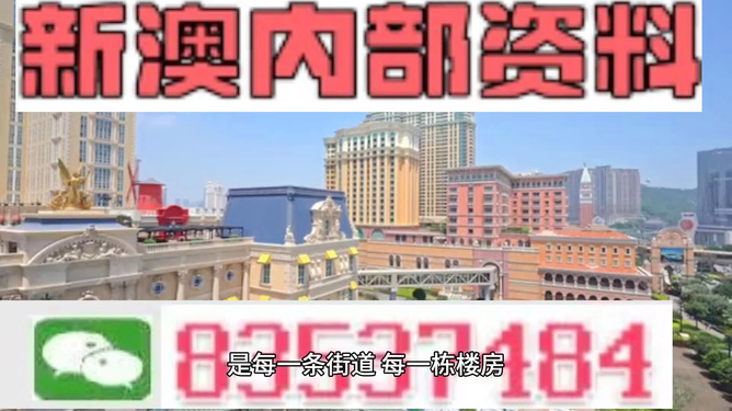 新澳門最精準(zhǔn)正最精準(zhǔn)龍門，探索與解讀，新澳門最精準(zhǔn)正龍門，深度解讀與探索