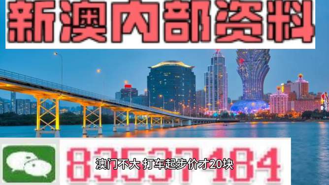 澳門最精準真正最精準，澳門精準預測，揭秘最真實準確的預測秘籍
