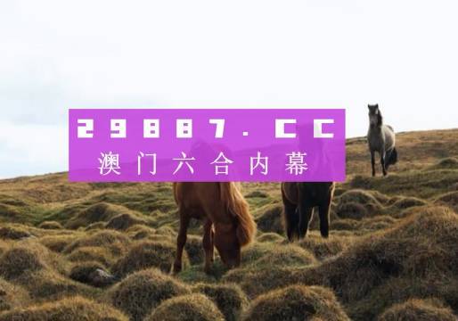 新澳門開獎記錄查詢今天，澳門最新開獎結(jié)果記錄查詢今日更新