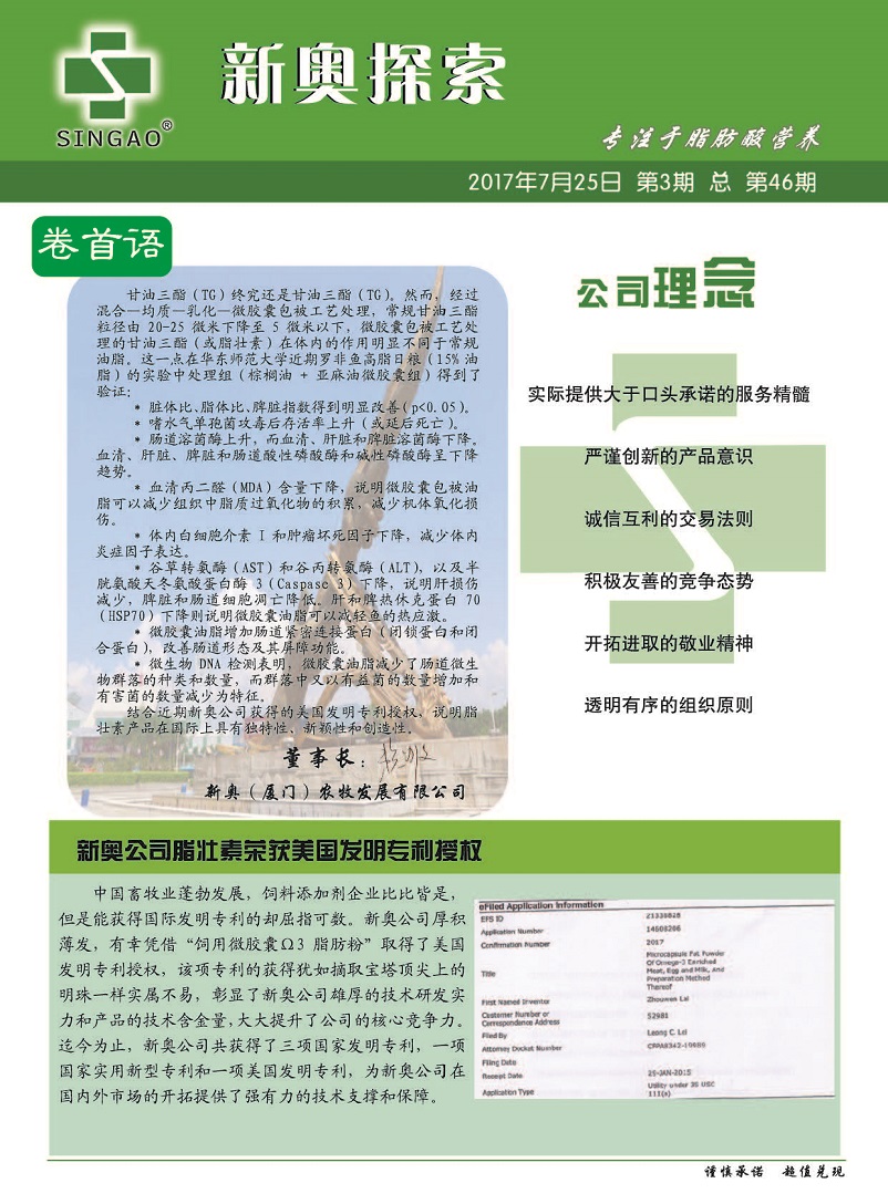 揭秘2025新澳免費(fèi)資料公式，揭秘2025新澳免費(fèi)資料公式大解密