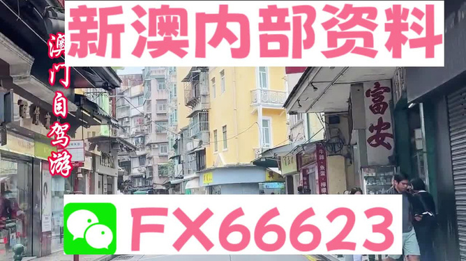 新澳精準資料免費提供208期，新澳精準資料第208期免費分享