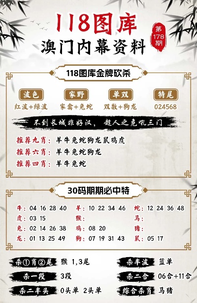 澳門今晚特馬開什么，深度分析與預測，澳門今晚特馬開獎預測與深度分析