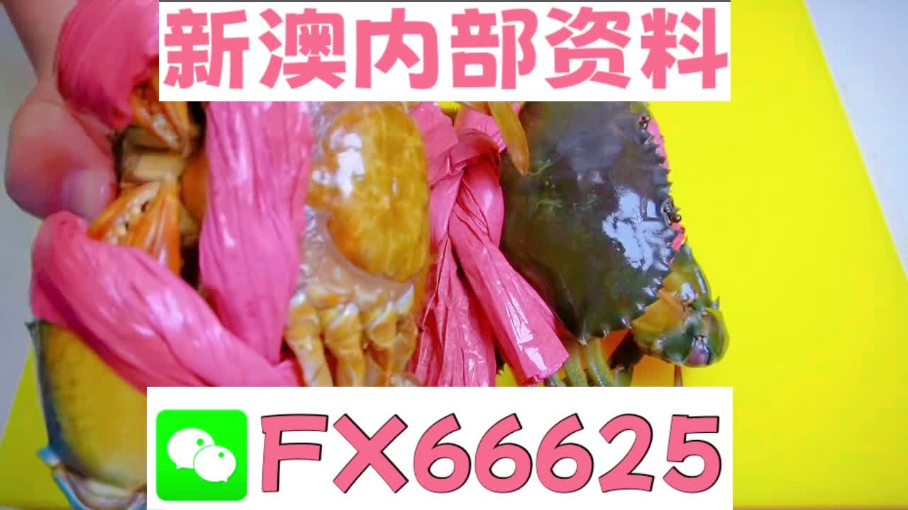 『深度解析』，2025新澳精準(zhǔn)資料大全詳解，深度解析，2025新澳精準(zhǔn)資料大全詳解與指南