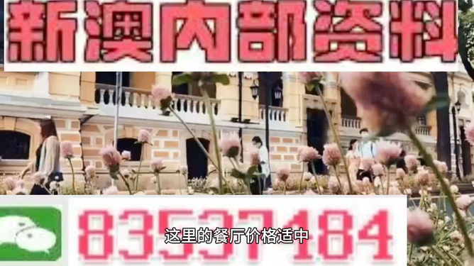澳門最精準免費資料大全旅游團，一站式解鎖澳門之旅，澳門旅游團一站式攻略，精準免費資料大全，解鎖澳門之旅