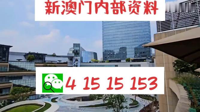 澳門資料庫，探索澳門的數(shù)字世界與直播熱潮，澳門數(shù)字世界的探索與直播熱潮，資料庫揭秘澳門風(fēng)采