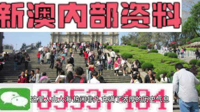 澳門最精準免費資料大全旅游團——暢游澳門的絕佳選擇，澳門最精準免費資料大全旅游團，暢游澳門的首選之旅