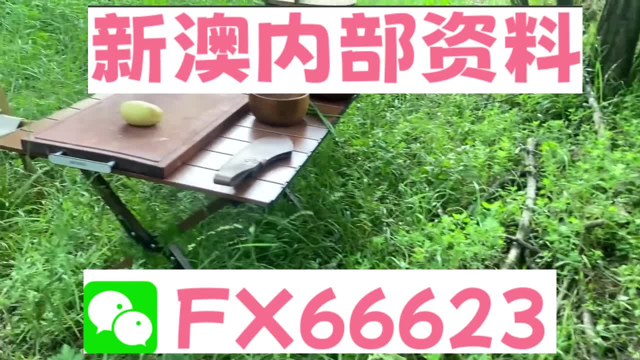 2025新澳精準正版資料大全，一網(wǎng)打盡各類資源，2025新澳正版資料大全，一網(wǎng)打盡各類資源匯總