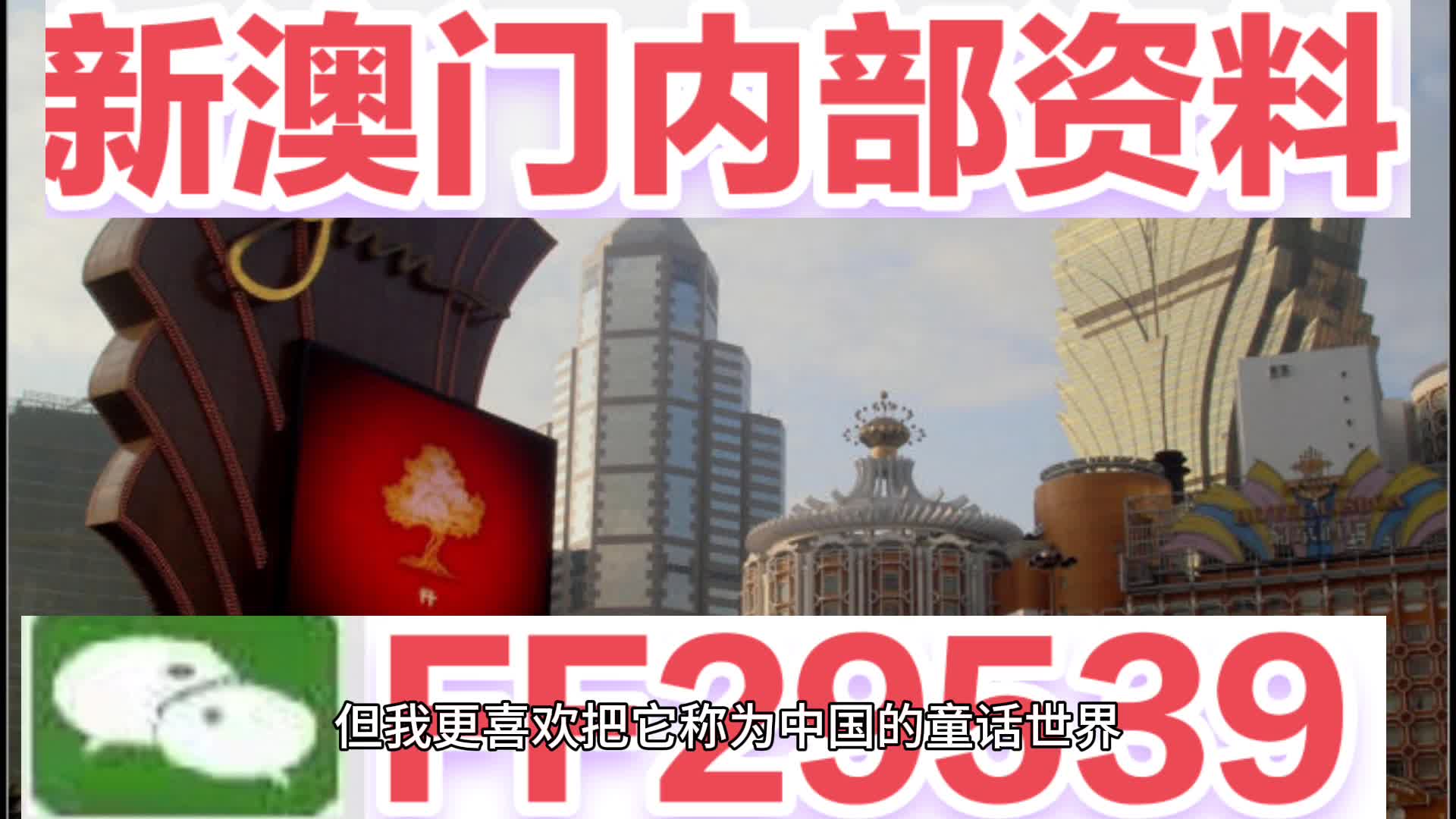 今晚澳門特馬開的什么號碼，澳門特馬今晚開獎號碼揭曉