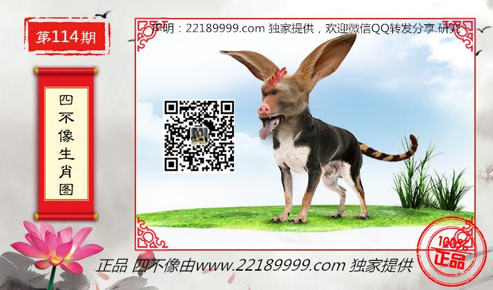 四不像正版資料查看