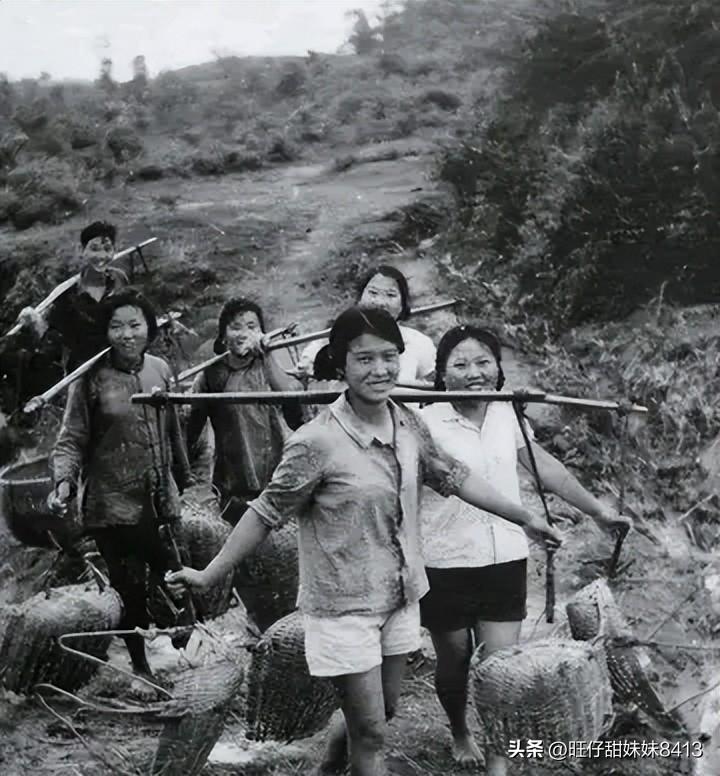 免費(fèi)下載49圖庫(kù)最新版本，全面解析與指南，免費(fèi)下載圖庫(kù)最新版本，全面解析與使用指南
