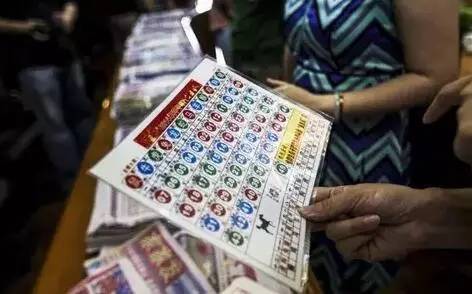 2025香港6合開獎結果 開獎記錄，香港六合彩開獎結果及歷史記錄（2025年）