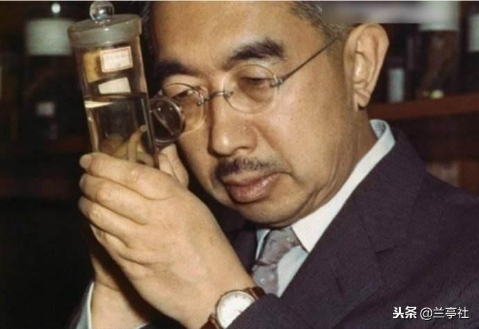 4949資料正版免費(fèi)大全的使用方法詳解，4949資料正版免費(fèi)大全使用方法詳解指南